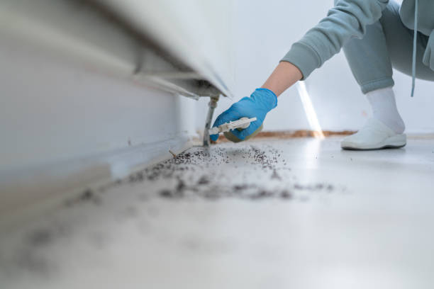 Best Best Pest Control Companies  in Deshler, OH